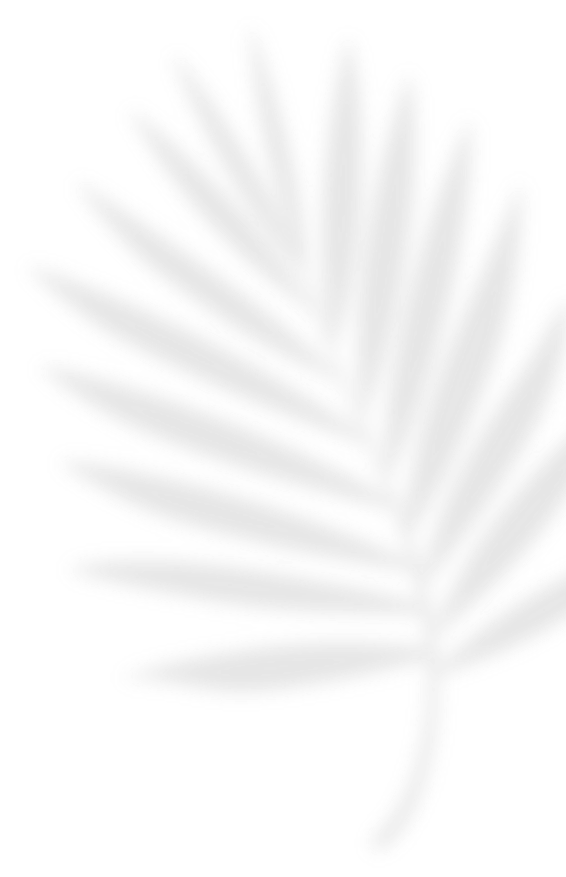 Palm leaf title