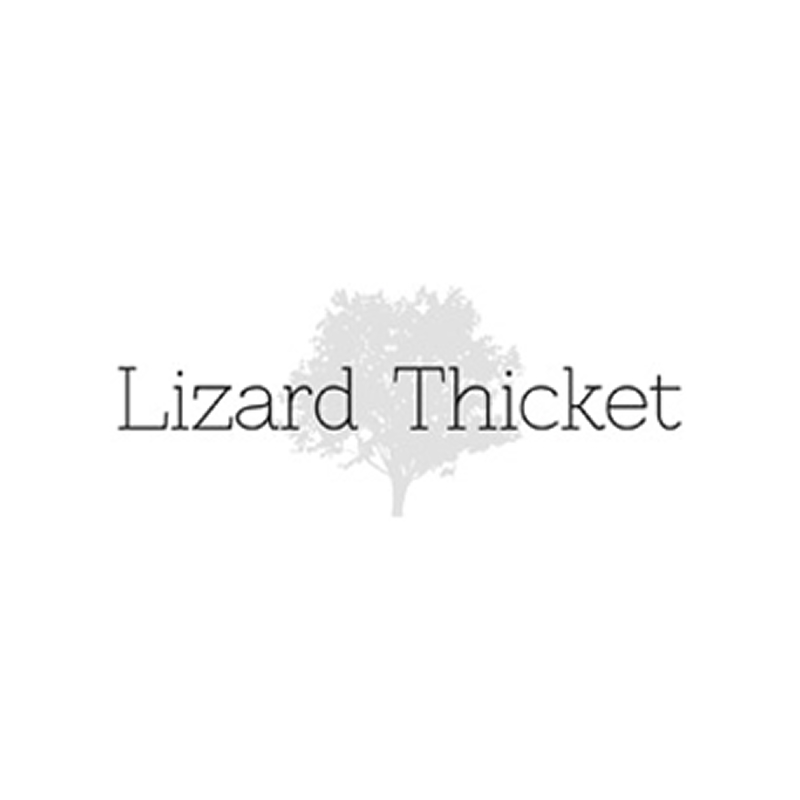Lizard Thicket at Destin Commons