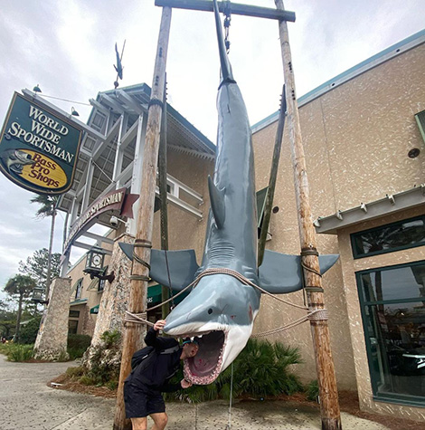 Shark at Bass Pro - Destin Commons