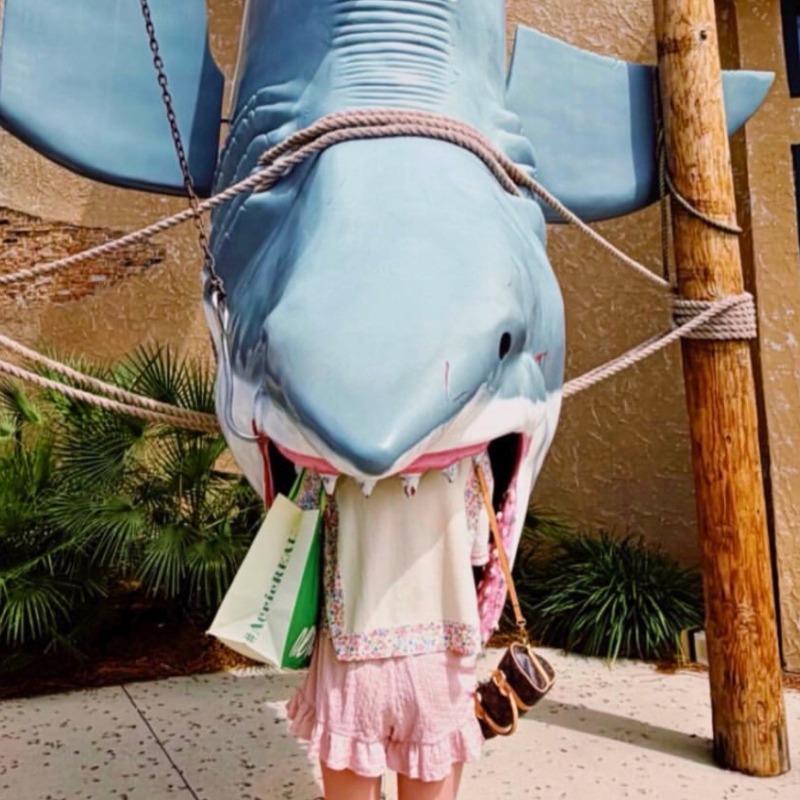 SHARK AT BASS PRO