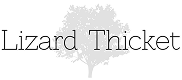 LIZARD THICKET