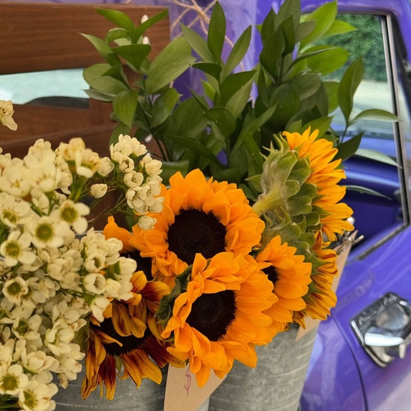 Lady Lavender Flower Truck