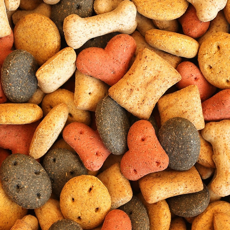 Seadogz Treats & Treasure