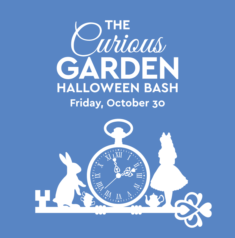The Curious Garden: A Halloween Bash Inspired by Wonderland